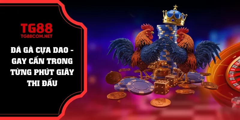 đá gà cựa dao